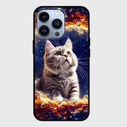 Чехол для iPhone 13 Pro Кошка шиншилла в космосе, цвет: 3D-черный