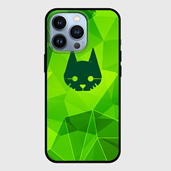 Чехол для iPhone 13 Pro Stray green poly, цвет: 3D-черный