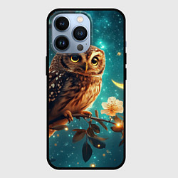 Чехол для iPhone 13 Pro Сова на фоне ночного неба, цвет: 3D-черный