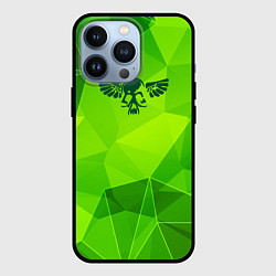 Чехол для iPhone 13 Pro Nazareth green poly, цвет: 3D-черный