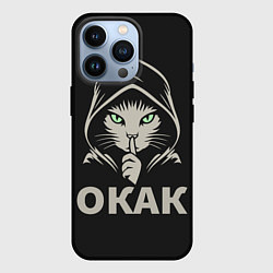 Чехол для iPhone 13 Pro Кот окак в черном капюшоне, цвет: 3D-черный