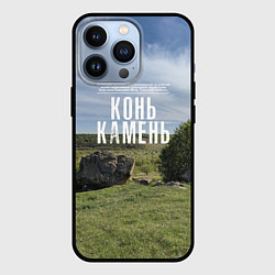 Чехол для iPhone 13 Pro Конь-Камень на Красивой Мече, цвет: 3D-черный