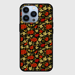 Чехол для iPhone 13 Pro Традиционный русский узор, цвет: 3D-черный