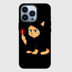 Чехол для iPhone 13 Pro Котик ситх, цвет: 3D-черный