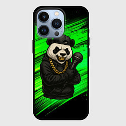 Чехол для iPhone 13 Pro Панда рэпер с микрофоном, цвет: 3D-черный