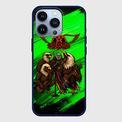 Чехол iPhone 13 Pro Aerosmith орлы