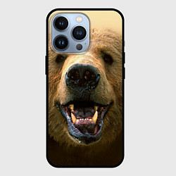 Чехол для iPhone 13 Pro Взгляд медведя, цвет: 3D-черный