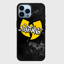 Чехол для iPhone 14 Pro Max Wu tang clan logo, цвет: 3D-черный