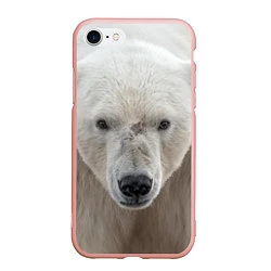 Чехол iPhone 7/8 матовый Белый медведь
