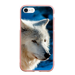Чехол iPhone 7/8 матовый Волк на черном фоне