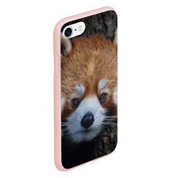 Чехол iPhone 7/8 матовый Крaсная панда, цвет: 3D-светло-розовый — фото 2