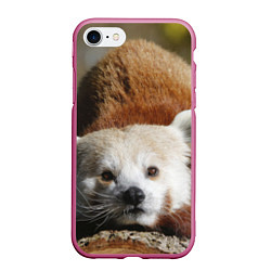 Чехол iPhone 7/8 матовый Красная панда ждёт