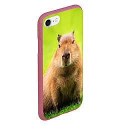 Чехол iPhone 7/8 матовый Capybara on green grass, цвет: 3D-малиновый — фото 2