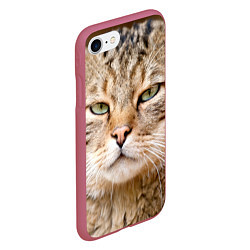 Чехол iPhone 7/8 матовый Взгляд кошки, цвет: 3D-малиновый — фото 2