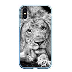 Чехол iPhone XS Max матовый Милый лев