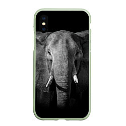 Чехол iPhone XS Max матовый Взгляд слона