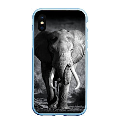Чехол iPhone XS Max матовый Бегущий слон