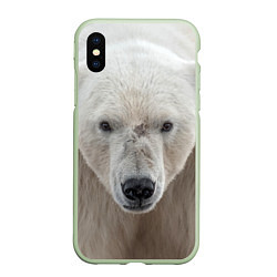 Чехол iPhone XS Max матовый Белый медведь