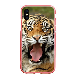 Чехол iPhone XS Max матовый Удивленный тигр, цвет: 3D-баблгам
