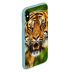 Чехол iPhone XS Max матовый Тигр, цвет: 3D-мятный — фото 2