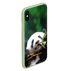 Чехол iPhone XS Max матовый Панда на ветке, цвет: 3D-салатовый — фото 2