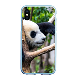 Чехол iPhone XS Max матовый Бамбуковый медведь, цвет: 3D-голубой