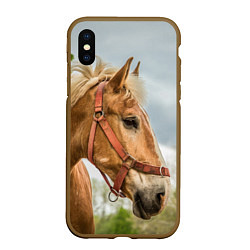 Чехол iPhone XS Max матовый Игривая лошадка, цвет: 3D-коричневый