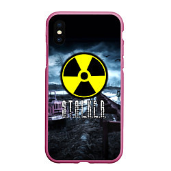 Чехол iPhone XS Max матовый S.T.A.L.K.E.R: Radiation, цвет: 3D-малиновый