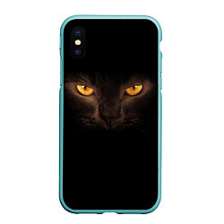 Чехол iPhone XS Max матовый Кошачий взгляд, цвет: 3D-мятный