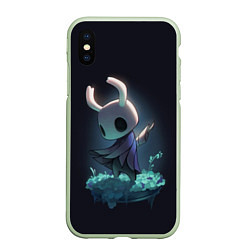 Чехол iPhone XS Max матовый Hollow Knight