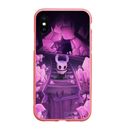 Чехол iPhone XS Max матовый Hollow Knight