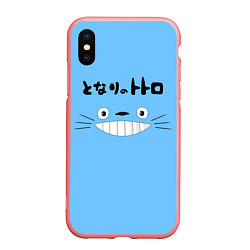 Чехол iPhone XS Max матовый Totoro, цвет: 3D-баблгам