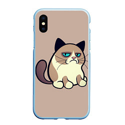 Чехол iPhone XS Max матовый Великий Grumpy Cat, цвет: 3D-голубой