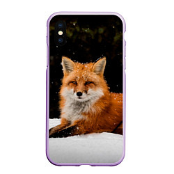 Чехол iPhone XS Max матовый Лиса и снег, цвет: 3D-сиреневый