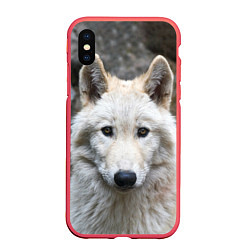 Чехол iPhone XS Max матовый Волк, цвет: 3D-красный