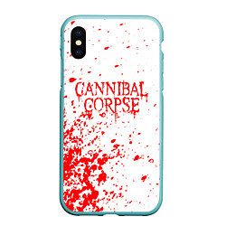 Чехол iPhone XS Max матовый Cannibal corpse, цвет: 3D-мятный