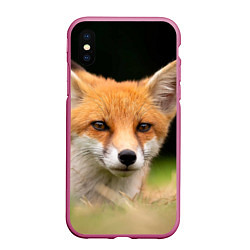 Чехол iPhone XS Max матовый Мордочка лисицы, цвет: 3D-малиновый