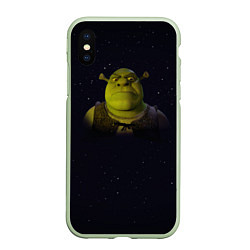 Чехол iPhone XS Max матовый Злой Шрек, цвет: 3D-салатовый