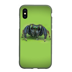 Чехол iPhone XS Max матовый ПАУК С ГЛАЗКАМИ, цвет: 3D-темно-зеленый