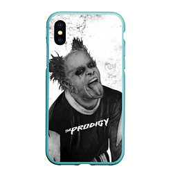 Чехол iPhone XS Max матовый THE PRODIGY ПРОДИДЖИ Z, цвет: 3D-мятный