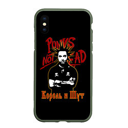 Чехол iPhone XS Max матовый Punks Not Dead КиШ