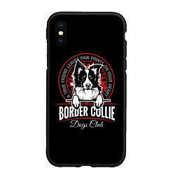 Чехол iPhone XS Max матовый Бордер-Колли Border Collie