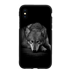 Чехол iPhone XS Max матовый Волк, на черном фоне