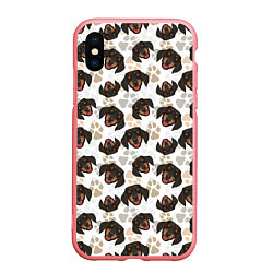 Чехол iPhone XS Max матовый Такса Dachshund Dog