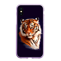 Чехол iPhone XS Max матовый Грозный Тигр Символ 2022 Года Tiger Beast