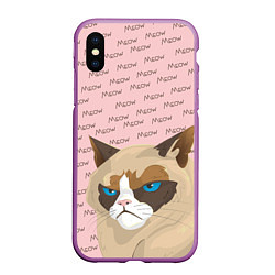 Чехол iPhone XS Max матовый Angry Cat Злой кот