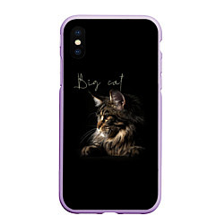 Чехол iPhone XS Max матовый Big cat Maine Coon