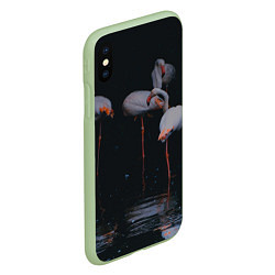 Чехол iPhone XS Max матовый Фламинго - вода, цвет: 3D-салатовый — фото 2