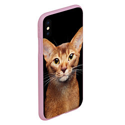 Чехол iPhone XS Max матовый Молодая абиссинская кошечка, цвет: 3D-розовый — фото 2
