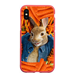 Чехол iPhone XS Max матовый Кролик Питер, цвет: 3D-красный